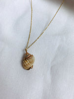 Kette - Small Shell